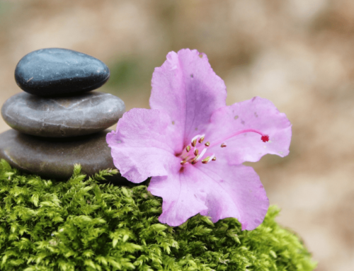 Personal development with flower essences