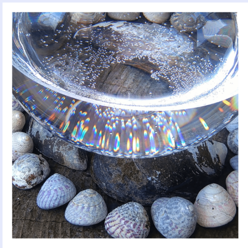Bowl of Light - flower essence - Rebecca Veryan Millar