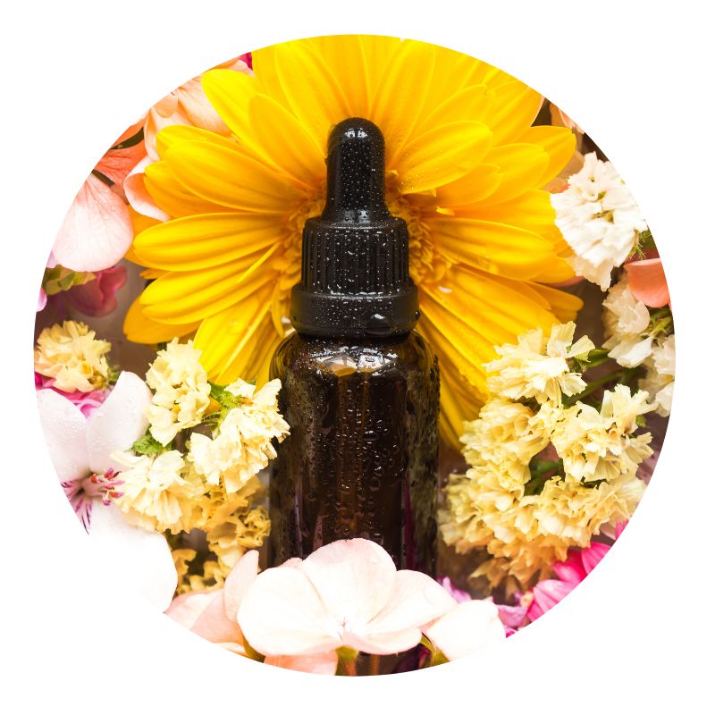 Personal Transformation with flower essences